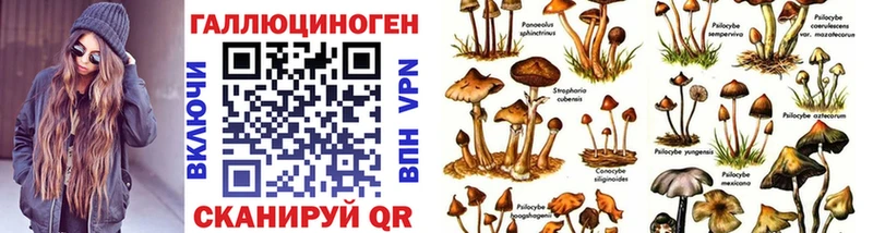 Псилоцибиновые грибы ЛСД Минусинск