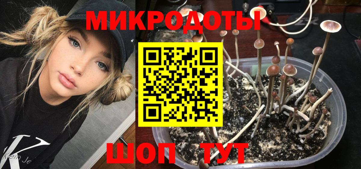 Галлюциногенные грибы Cubensis Минусинск